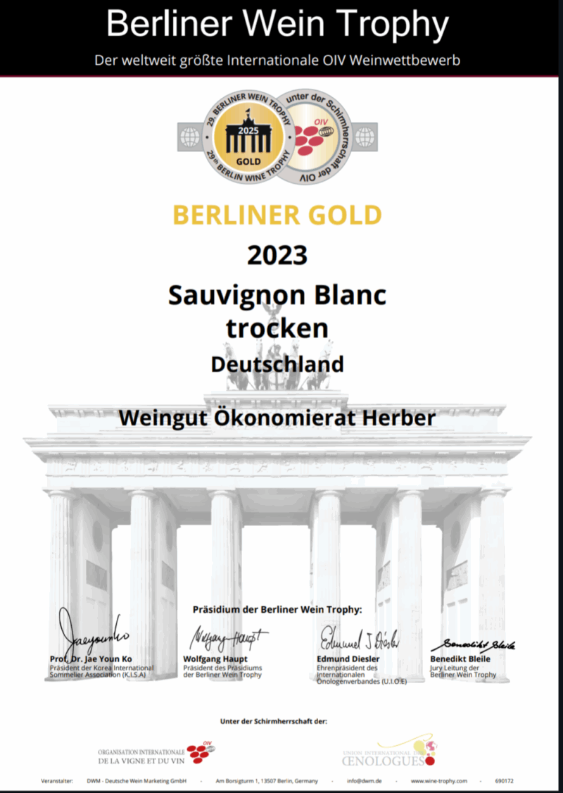 2023 Sauvignon Blanc trocken – Bild 2
