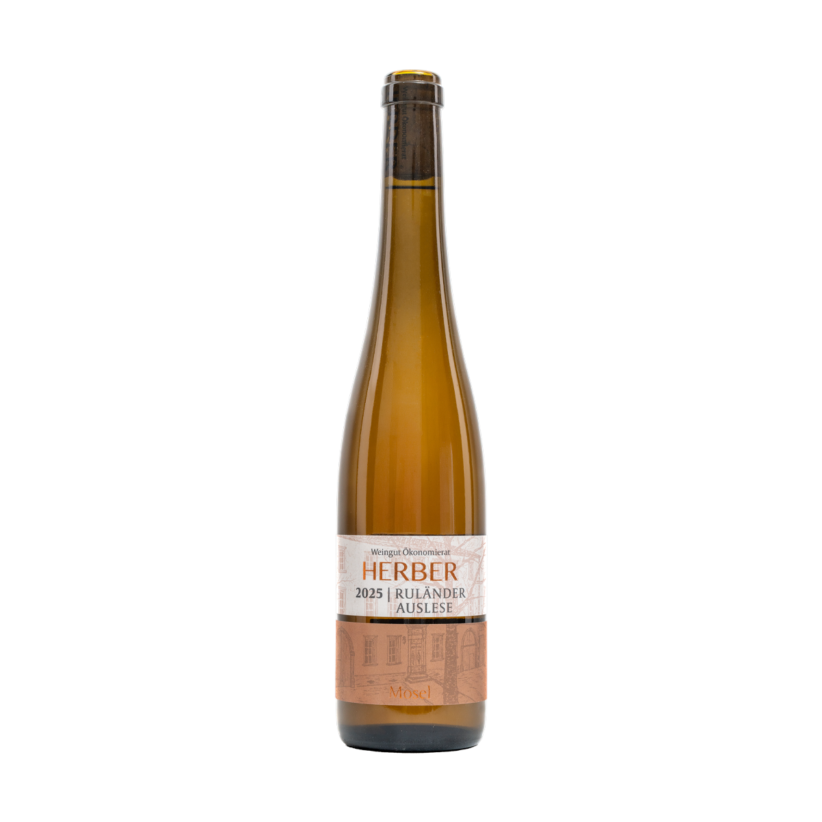 herber-ruländer-auslese-2025
